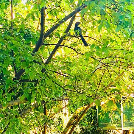 Gamagedara Resort Dambulla Luaran gambar