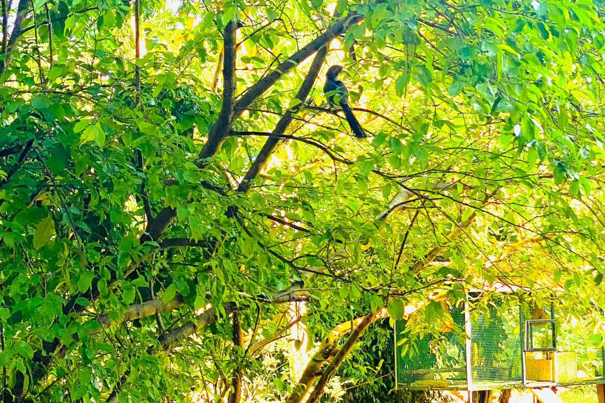 Gamagedara Resort Dambulla Luaran gambar